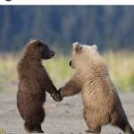 Lala Abdul Profile Picture