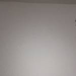 Nuriisa Demir Profile Picture