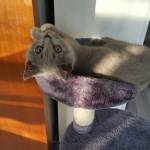 Semra Aydin Profile Picture