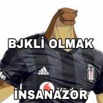 Enes Kologlu Profile Picture